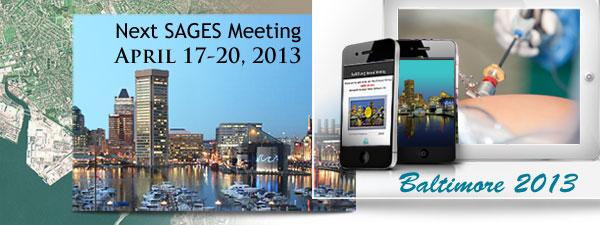 SAGES 2013