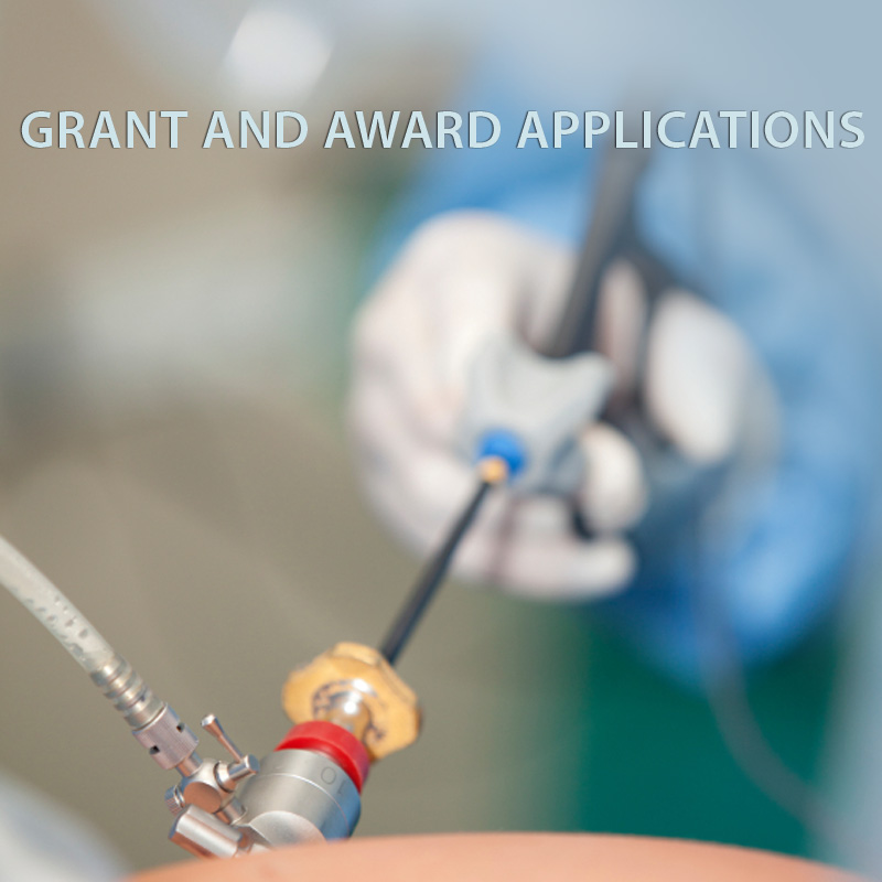 Grant Guidelines and Submission